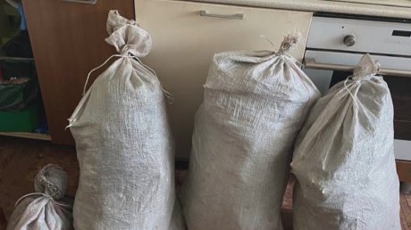 У пензенца дома нашли пакеты с марихуаной и коноплей