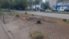 На улице Кронштадтской в Пензе незаконно уничтожили березы