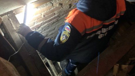 Жительницу Пензы вызволили из погреба на проспекте Победы