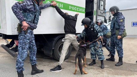 В Пензе обезвредили «пособников диверсантов»