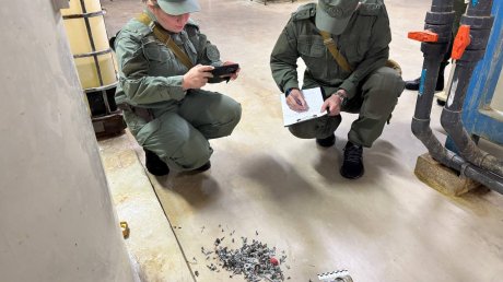 В Пензе обезвредили «пособников диверсантов»