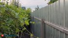 Приводим в порядок дачные участки