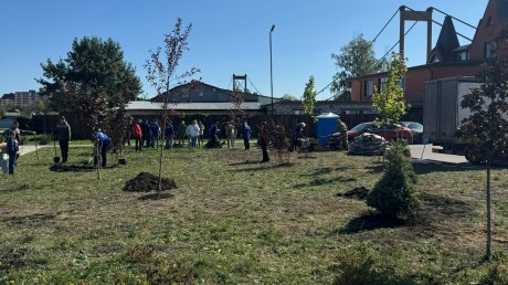 На набережной Суры высадили ели, каштаны и яблони