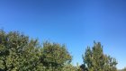 15 сентября в Пензенской области будет солнечно