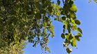 На Земле происходит магнитная буря неожиданной силы