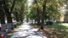 Прогноз на неделю: в Пензенской области продолжается бабье лето