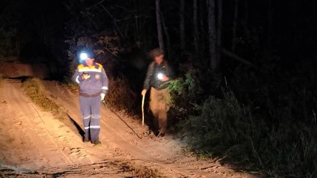 Спасатели нашли грибника, заблудившегося в Бессоновском районе