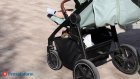 В Пензенской области стало больше Софий и Михаилов