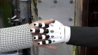 Спрогнозировано массовое развитие ИИ-агентов в крупных компаниях