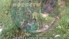 Водители автобусов № 130 замусорили территорию у «Ритэйла»