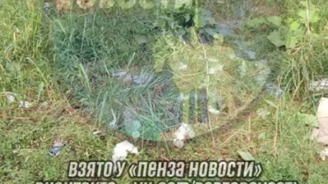 Водители автобусов № 130 замусорили территорию у «Ритэйла»