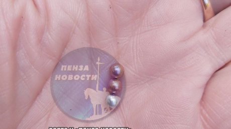Пензенцы сообщили о стрельбе из окна дома в Ближнем Арбекове