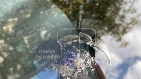Пензенцы сообщили о стрельбе из окна дома в Ближнем Арбекове