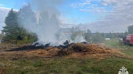 В Кузнецком районе из-за поджога сгорело 50 тюков сена