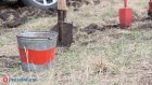 На озеленение Пензы выделили более 20 млн рублей