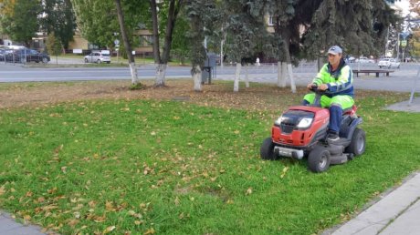 В Пензе в первую санитарную пятницу собрали 100 куб. м мусора