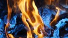 Мужчина поджег в библиотеке несколько книг из-за искажения истории