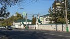 На участке улицы Кирова в Пензе спилили деревья