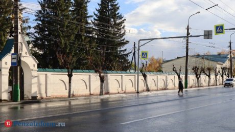 На участке улицы Кирова в Пензе спилили деревья