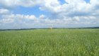 8 курганов в Колышлейском районе признаны памятником истории