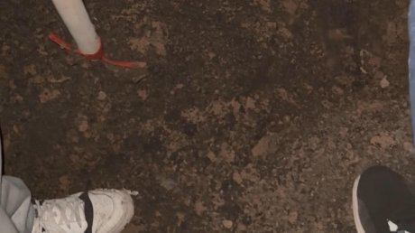 Молодые пензенцы раскопали могилу знакомого, чтобы увидеть тело