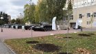 У «Афганских ворот» в Пензе высадили ели и липы