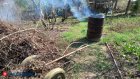 Россиян научили правильно выбрасывать мусор на даче