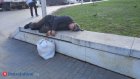 В России появятся «бомж-туры» для богачей