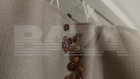 В России началось нашествие хищных божьих коровок