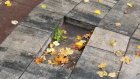 В нескольких местах на Тропе здоровья исчезла плитка
