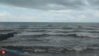 Обнаружен путешествующий по океану 20 лет одинокий кит-убийца