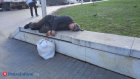 Российские богачи заплатят по 200 тысяч рублей за возможность пожить жизнью бомжей