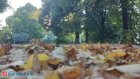Грусть постотпускная. Как войти в рабочий процесс после отдыха?