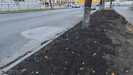 Бывшую парковку на улице Кураева превратили в газон