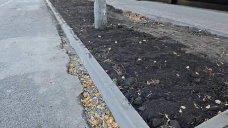 Бывшую парковку на улице Кураева превратили в газон
