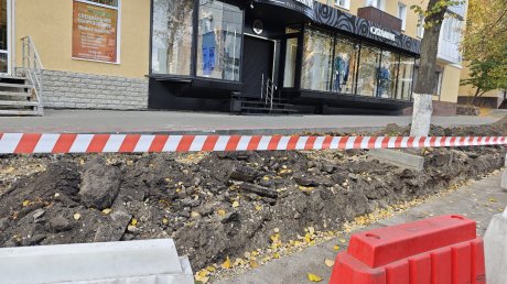 Бывшую парковку на улице Кураева превратили в газон