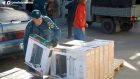 Губернатор сообщил об отправке гуманитарной помощи в Белгород