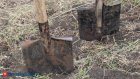 Пензенские пенсионерки обменялись дачным опытом
