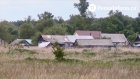 В Земетчинском районе мужчина прятал коноплю в сарае с животными