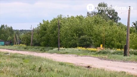 В Земетчинском районе мужчина прятал коноплю в сарае с животными