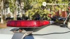 С начала года в ДТП в Пензенской области погибло 5 детей