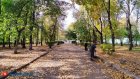3 октября в Пензенской области будет малооблачно