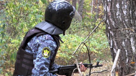 Учения в Пензе: беглого осужденного пришлось доставать из шалаша