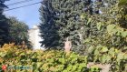 4 октября в Пензенской области будет солнечно и тепло