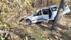 В Чаадаевке «Лада-Ларгус» слетела с дороги, водитель пострадал