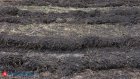 На территории Сердобска проведут археологическую разведку