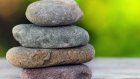 Россияне променяли домашних животных на камни