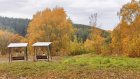 Врач предупредил об осенних рисках для желудка