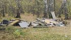 В лесу рядом с дублером Окружной выросла свалка