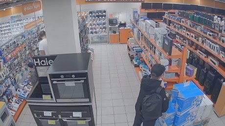 Пензенские полицейские задержали похитителя умных колонок
